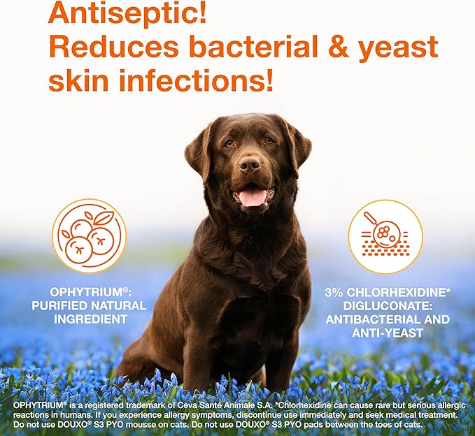 Douxo S3 Pyo Mousse, Contains 3% Chlorhexidine & 0.5% Ophytrium, Antiseptic & Hydrating, for Bacterial or Yeast Skin Infections, for Dogs, 5 fl. oz. (150mL)
