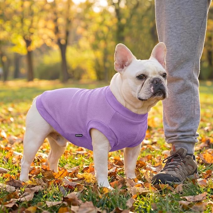 1 Pack Dog Shirt for Small Supplies Functional Waffle Dog Clothes Warm Soft Sweatshirt Outfit for Dogs Cats Pet Apparel