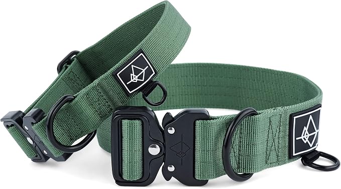 MADE TO ROAM Explorer Dog Collar | Heavy Duty Nylon & Durable Metal Buckle | Premium adjustable collar with rust-resistant hardware. Fits small to large dogs. 15 colors. Matching leash & harness