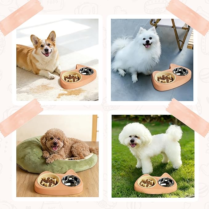Slow Feeder Dog Bowls 4 in 1, Slow Feeder Bowl, Stainless Steel Water Bowl with Non-Slip Silicone Mat and Standard Bowl Set, Cat and Puppy Bowls Pet Dishes for Small Medium Breed Anti-Choking