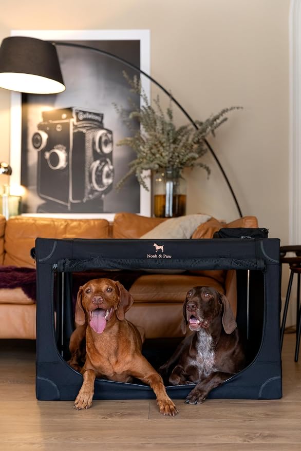 Noah & Paw Collapsible Dog Crate 36 Inches, XL Dog Crate for XL, Large Medium Breed, Travel Kennel for Car, Includes Pet Mat for Pet Cage, 2 Storage Pockets, Handbag, 10mm Locking Zippers 36*25*23