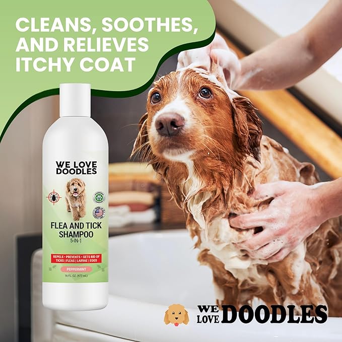We Love Doodles Flea Shampoo for Dogs - Stops Fleas & Ticks for Dogs, Natural, Safe & Effective Lice Treatment, Soothing Shampoo for Sensitive Skin, Manufactured in USA, 16 oz