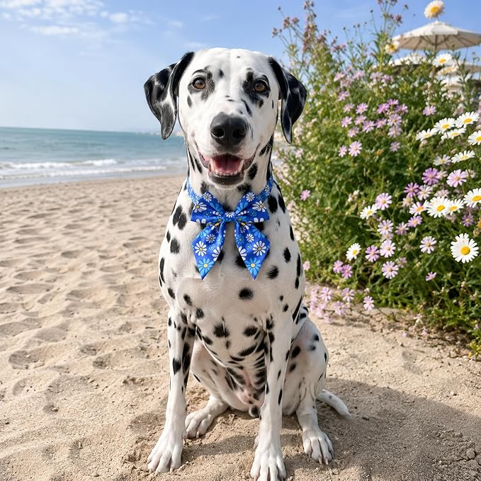 PET SHOW 10 Pack Floral Sailor Dog Bowties for Large Dogs