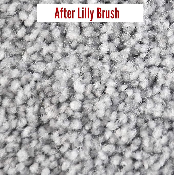 Lilly Brush Mighty Pet Hair Detailer Head (NO HANDLE) Dog & Cat Fur Clean-Up for Carpets and Rugs. Fits on ALL standard broom sticks.