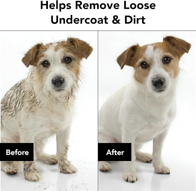 Pride and Groom The Shedder | Dog Deshedding Shampoo | All Natural Body Wash with Essential Oils & Ingredients that Reduce Pet Shedding & Fur Dander for Curly and Wavy Coats – 16oz