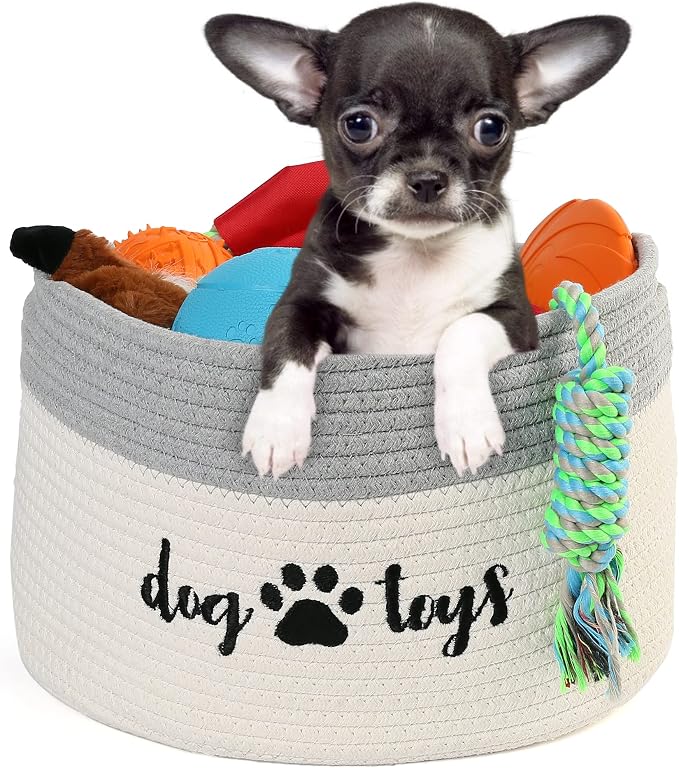 Cotton Rope Dog Toy Basket, Small Basket with Handles, Woven Storage Bin for Dogs Pets, 15x10x9 inch Pet Basket Container Holder for Toys, White and Grey