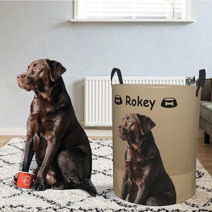 Personalized Large Dog Toy Storage Basket Bin Collapsible Custom Pet Stuff Box Chest Container for Living Room Organizer for Dog Toys,Dog Food,Blankets,Clothing (Latte)