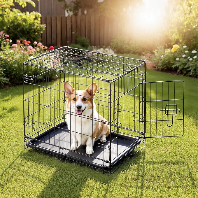 DUMOS Dog Crate 24 Inch, Foldable Puppy Small Dog Cage Pet Kennel | Single Door Metal Wire, Plastic Leak-Proof Pan Tray, Portable Indoor Outdoor Training Travel