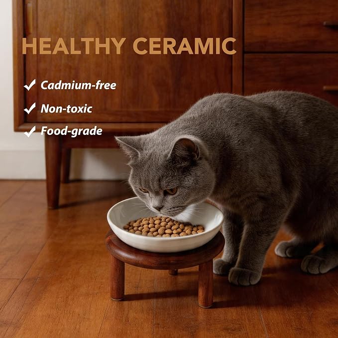 Havniva Elevated Cat Bowls, Ceramic Cat Bowl with Wood Stand, Wide Opening | 5.7” Raised Cat Food Bowls, Whisker Friendly Cat Dish, Anti-Slip Cat Water Bowls, Shallow Cat Bowls, Cat Food & Water Bowl