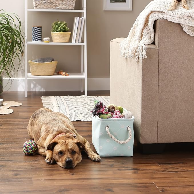 Bone Dry Pet Storage Paw and Bone, Trellis Collection, Small Rectangle, 14x8x9, Aqua