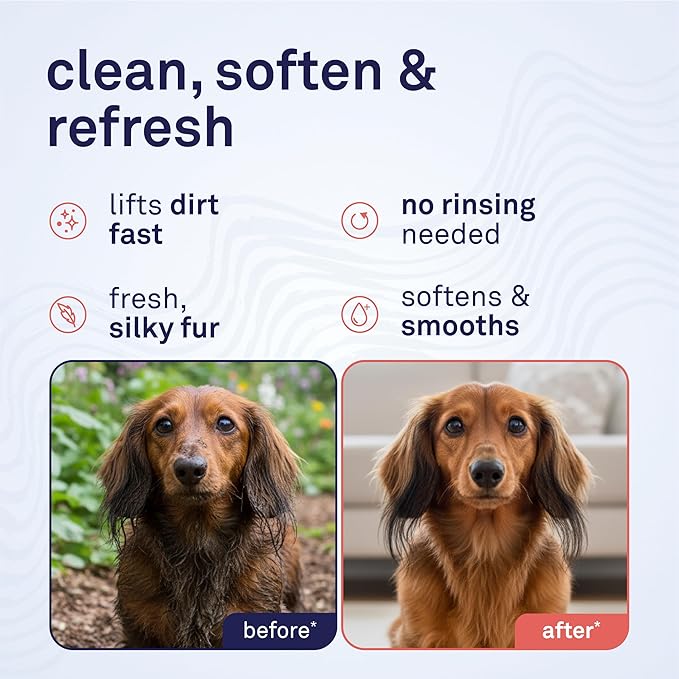 Petpost | Waterless Argan Oil Dog Shampoo Spray. Rinse-Free Cleaner & Deodorizer with Aloe & Safflower Oil. Moisturizes Skin & Softens Coat. 8 oz