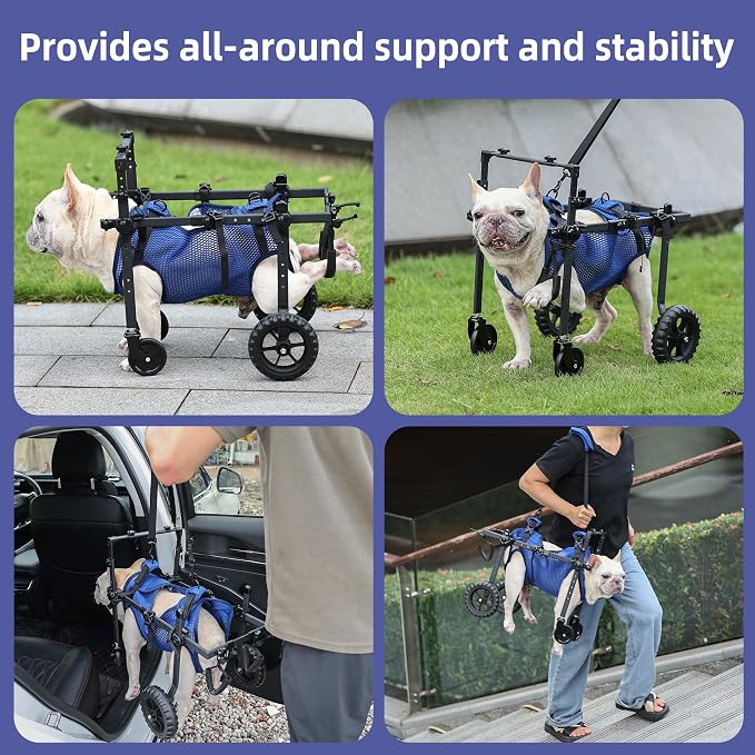 Quad Dog Wheelchair for Disabled Dogs, 4-Wheel Mobility Cart with Harness