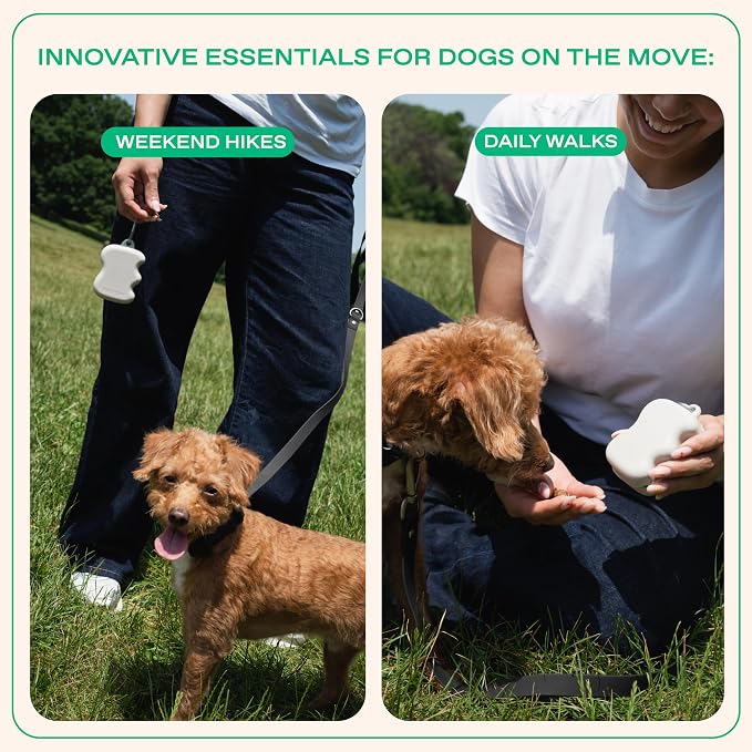 Springland Silicone Dog Training Treat Pouch for Leash, Oat | One-hand squeeze dispenser, food-grade silicone, BPA-free, carabiner included, easy-fill holder for rewards on the go