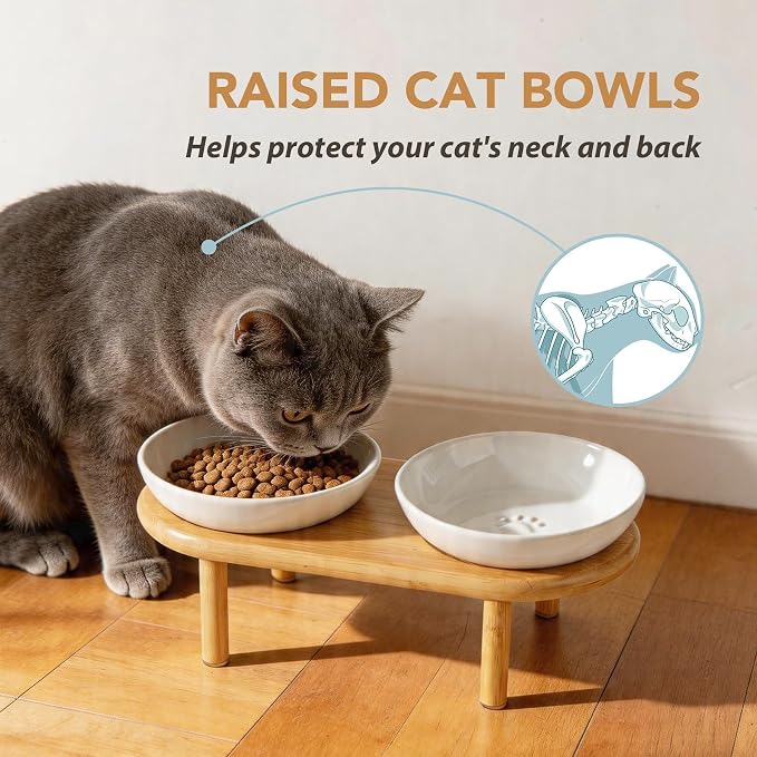 Havniva Elevated Cat Bowls, Ceramic Cat Bowl with Bamboo Stand Wide Opening | 5.7” Raised Cat Food Bowls, Whisker Friendly Cat Dish, Anti-Slip Cat Water Bowls, Shallow Cat Bowls, Cat Food & Water Bowl