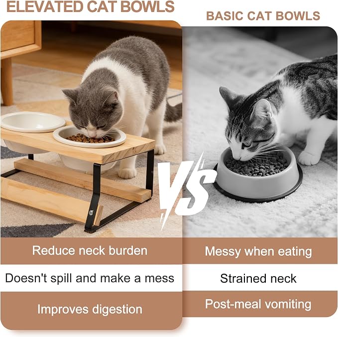 getlstub Elevated Cat Bowls with Wood Stand - Raised Cat Food and Water Bowls for Indoor Cats & Small Dogs, 15°Tilted High Ceramic Anti-Vomit Pet Feeder, Whisker Fatigue Friendly