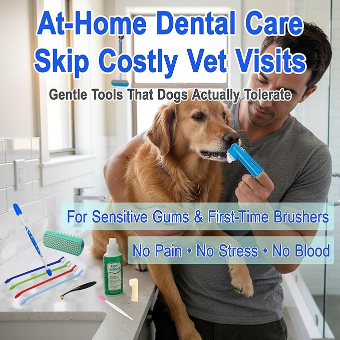 9-Piece Dog Tooth Brushing Kit, Pet Dental Hygiene & Grooming Set for Dogs and Cats, Includes Dual-Head Toothbrush, Finger Brushes, Tongue Scraper and Tear-Stain Grooming Brush