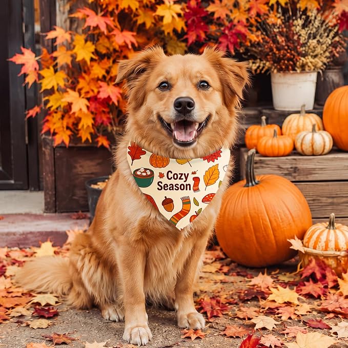 Abbylike 50 Pcs Fall Dog Bandanas Bulk Autumn Leaf Pumpkin Acorn Mushroom