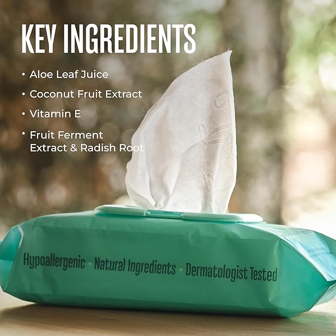 WagWell Daily Cleansing Dog Wipes, 50 Count | Vet-Approved, Helps Reduce Odor, Fragrance-Free, Microbiome-Friendly Dog Grooming Wipes | Gentle Head-to-Tail Cleaning for Paws, Coat & Skin (Avoid Eyes)