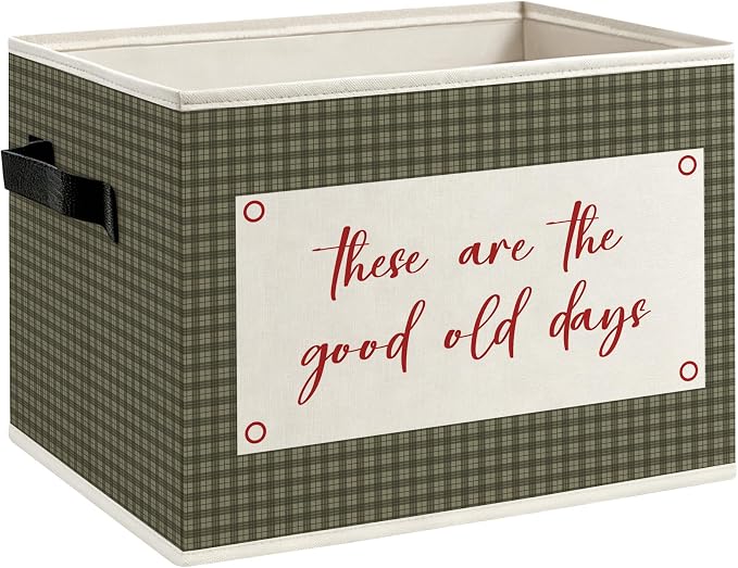 These Are the Good Old Days Foldable Storage Bins Box with Handles, Inspirational Gifts for Women Men, Olive Green Gingham Decorative Storage Boxes Baskets Organizer for Office Bedroom