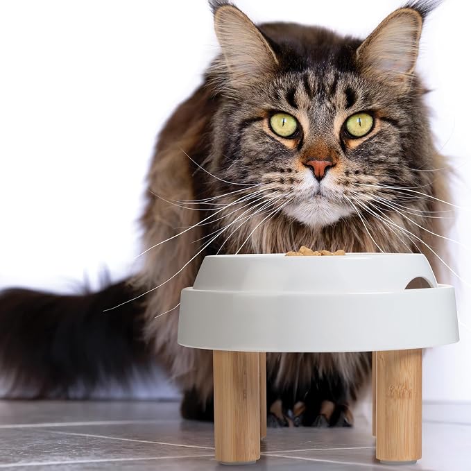 CatGuru Food Table for Cat Bowls, Elevated Feeding Station for Cat Food Bowl, Raised Stand for Food and Water Bowls, Pet Feeder for Indoor Cats, Stress Free Stand for Pet Dishes (Marshmallow, High)