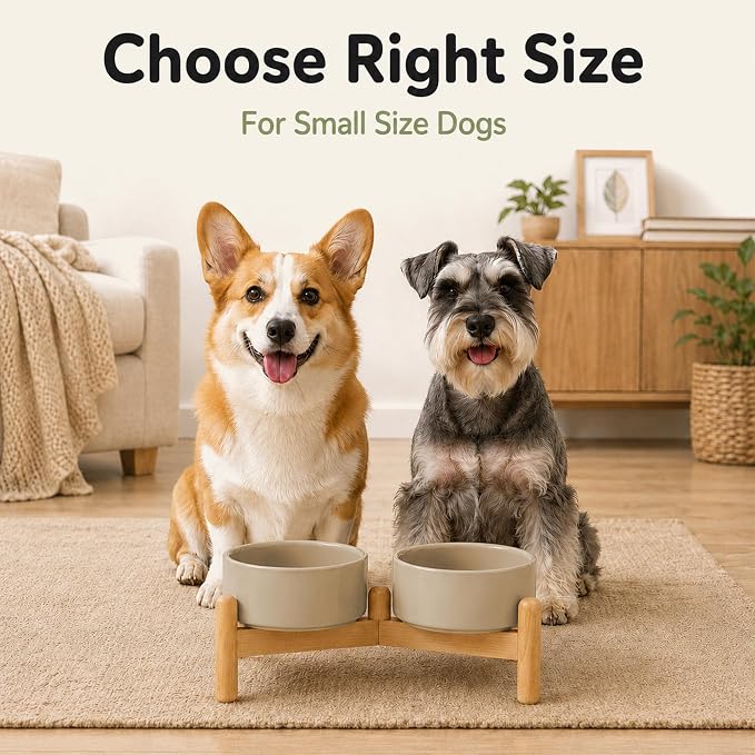 Havniva Ceramic Dog Bowls Elevated, Raised Dog Food Bowl for Small Dogs | 6.1” Elevated Dog Bowls, Non-Slip Wood Stand, Dog Food and Water Bowl Set, Dog Feeding Dish, Large Capacity Pet Water Bowl