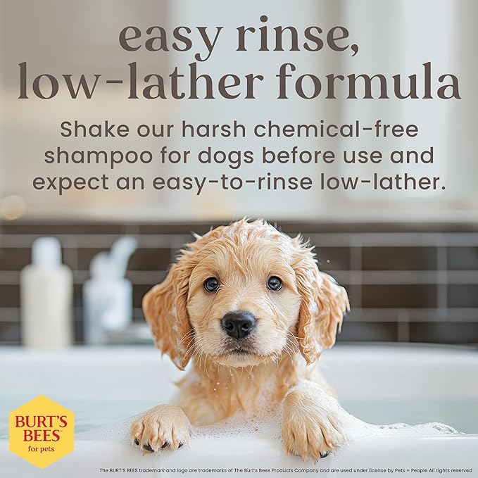 Burt’s Bees for Pets Tear Free Puppy Shampoo & Conditioner with Buttermilk, 2 in 1 Gentle Dog Shampoo for Puppies, Cleans and Conditions Sensitive Skin, 16 Fl Oz - 2 Pack