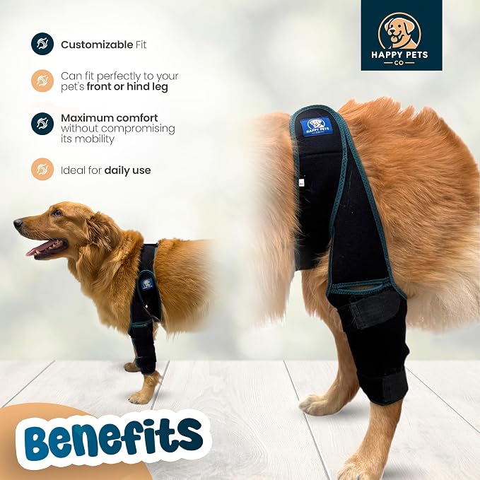 Dog Knee Brace Adjustable Front Hind Leg Brace for Cruciate Ligament Injury, Luxating Patella, Torn ACL. (Green, Large)