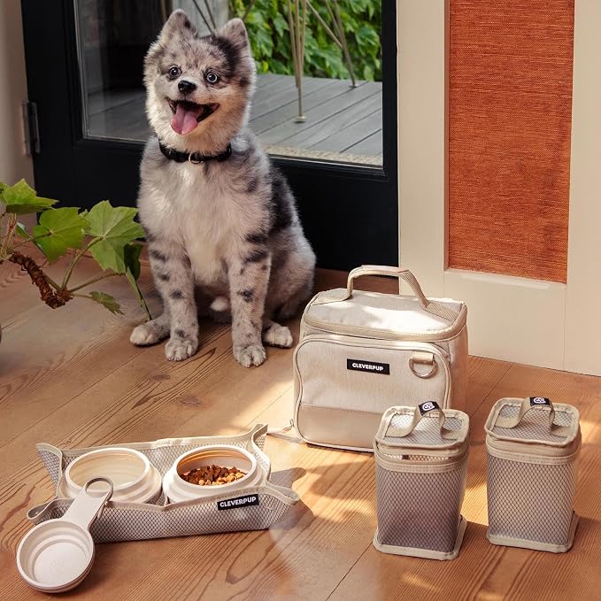 Small 7-Piece Bistro Box Dog Food Travel Kit, 6-Cup BPA-Free Kibble Storage, 2 Silicone Bowls, Mat & Scoop - Portable Pet Food Kit for Weekends, Overnights, Daycare & Camping, Sand