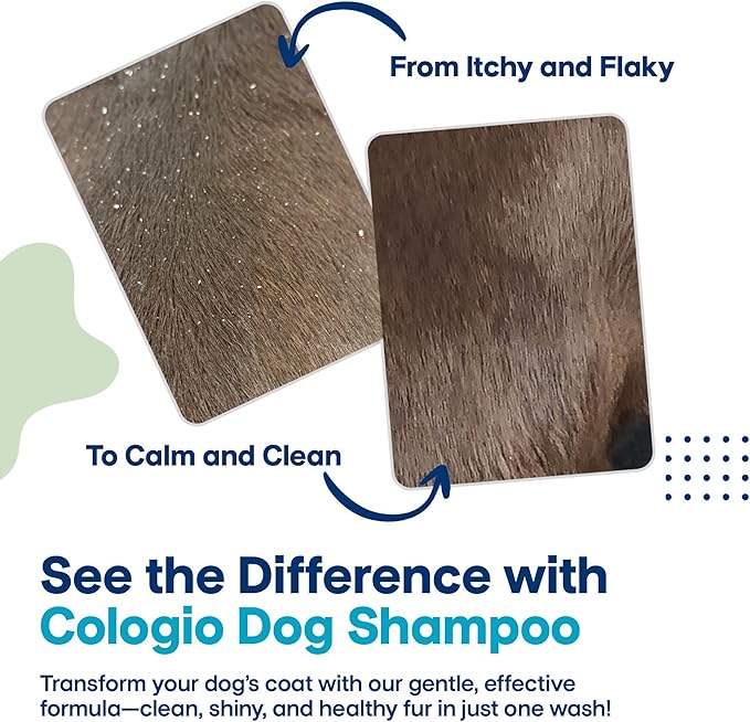 Dog Shampoo with Manuka Honey, Moisturizing Dog Shampoo for Sensitive and Dry Itchy Skin, Shampoo for Dogs with Allergies and Dry Skin, Odor Eliminator, Paraben-Free, Made in USA 1 Gallon