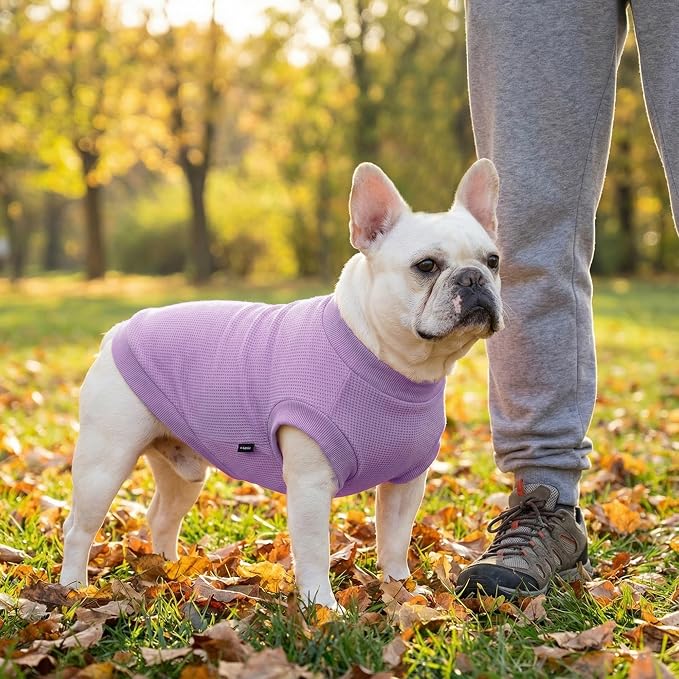 3 Pack Dog Shirt for Small Supplies Functional Waffle Dog Clothes Warm Soft Sweatshirt Outfit for Dogs Cats Pet Apparel