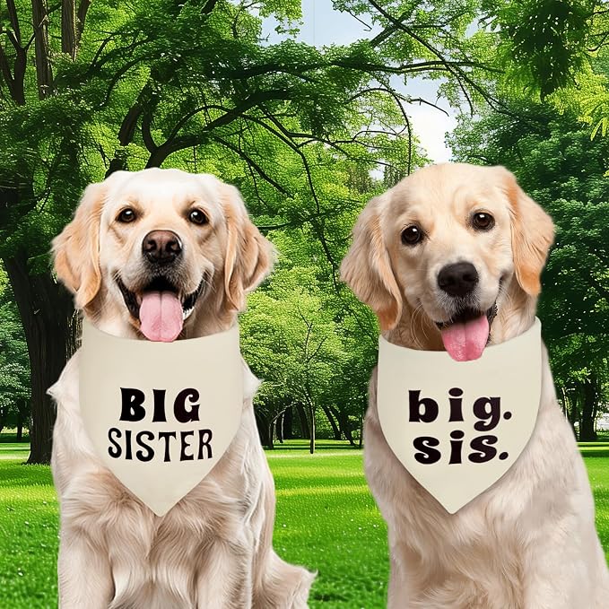 Big Sister Dog Bandana Beige Large 1PCS, Adjustable Triangle Scarf | Pregnancy Announecment, New Baby for Family.