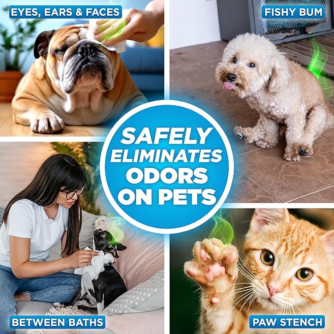 POOPH® Pure Wipes™ – 100 Count Pack – Gentle & Fast Odor Control – Fragrance-Free – No Harsh Chemicals – Multi-Purpose Pet & Surface Cleaning