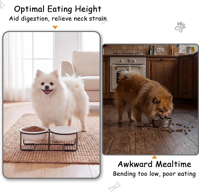 Ceramic Elevated Dog Bowl Set - Double Dog Food and Water Bowls with Metal Stand - Raised Pet Dishes for Puppies and Cats - 2 Cups - 12.5 fl oz - Matte White