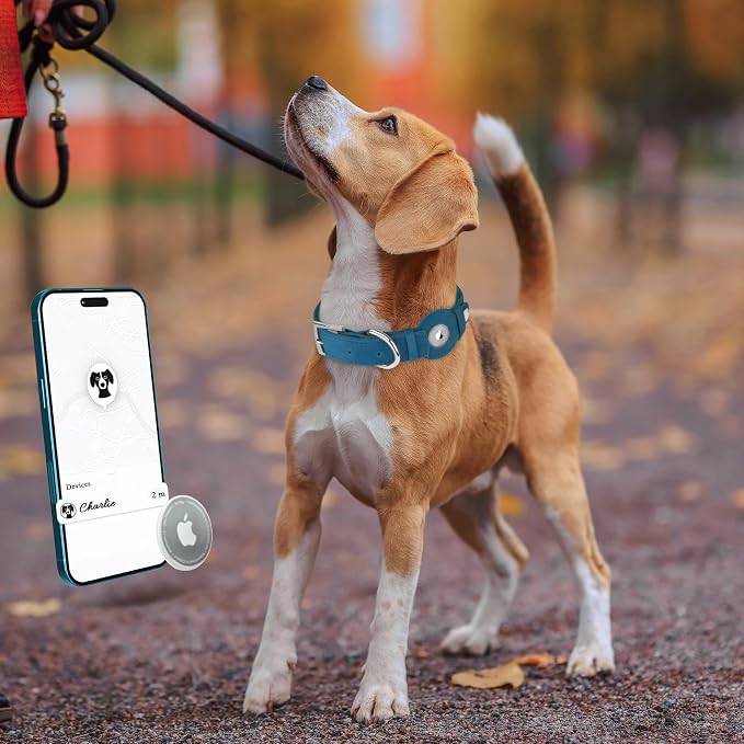 Leather Dog Collar with Airtag Holder - Apple Air Tag Dog Collars - Soft Tracking GPS Pet Collar for Small Medium Large Dogs Breed Puppy (Smoky Blue, M, 12"-15" Neck Fit)