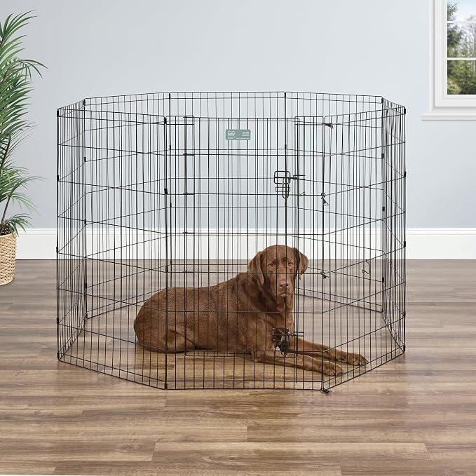 MidWest 42-Inch Exercise Pen, Single Door, 16 Sq Ft Play Area | for Indoor and Outdoor Use, Large Door Opening & Secure Latch, Easy to Set Up, Foldable Playpen