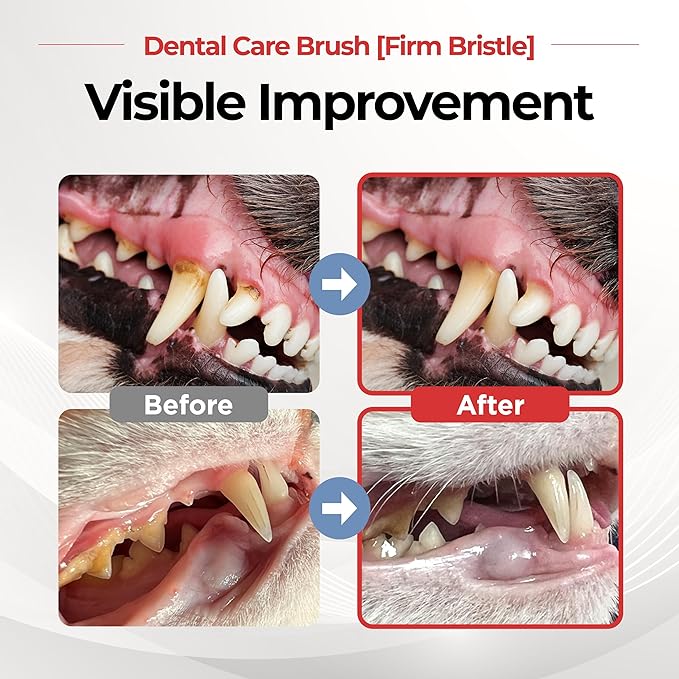 JAYU PET Dental Care Brush (Firm Bristles) 1ea - Resilient Dog Toothbrush, Cat Toothbrush for Tartar & Plaque Removal, Horizontal Head and S-Curved Body