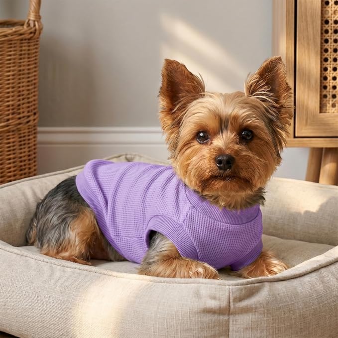 1 Pack Dog Shirt for Small Supplies Functional Waffle Dog Clothes Warm Soft Sweatshirt Outfit for Dogs Cats Pet Apparel