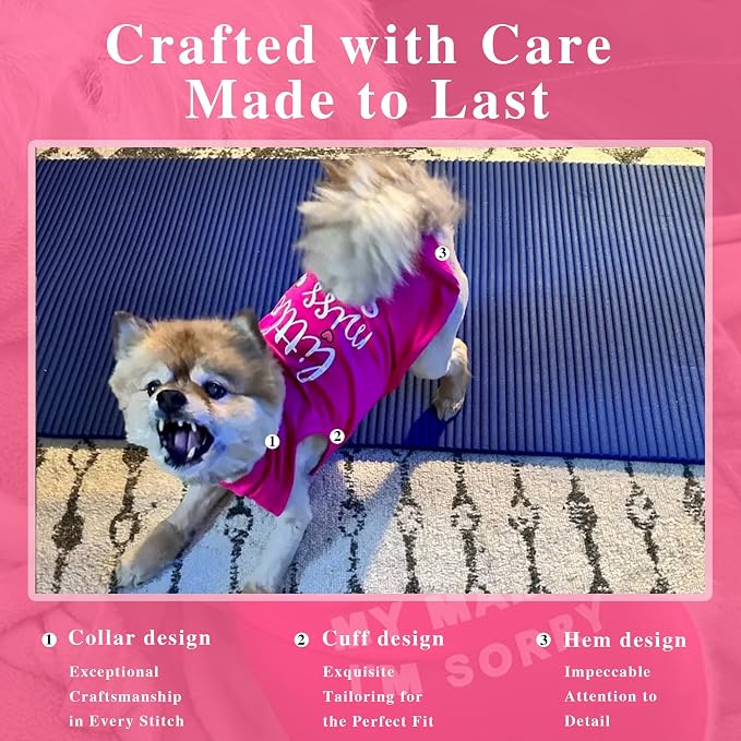 Cotton Dog Shirt with 'Little Miss Adorable' Corgi Head Print, Soft & Breathable Pet Apparel for Small, Medium, and Large Dogs, All-Season Sleeveless Vest, Cute and Comfortable Dog Outfit.Pink XXL