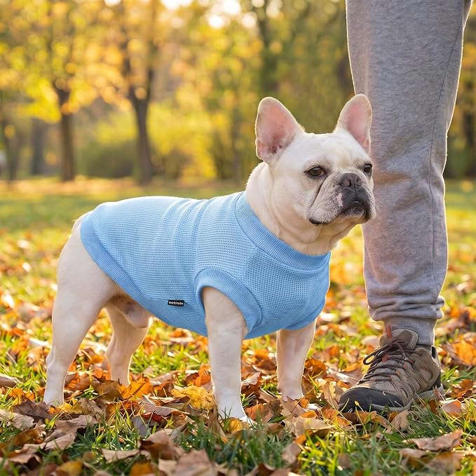 3 Pack Dog Shirt for Small Supplies Functional Waffle Dog Clothes Warm Soft Sweatshirt Outfit for Dogs Cats Pet Apparel