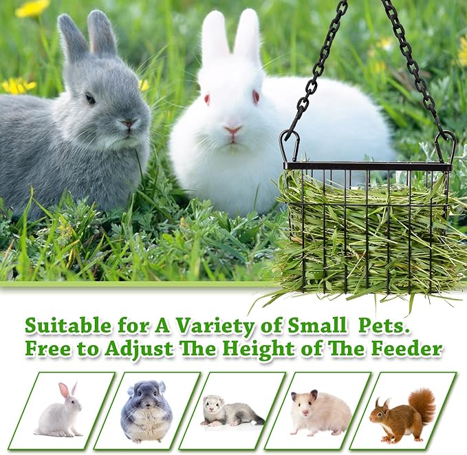 SANGLE SOPFFY Rabbit hay Feeder Small Animal Feeding Set with 350ml Water Bottle, Hay Rack for Guinea Pigs, Chinchillas
