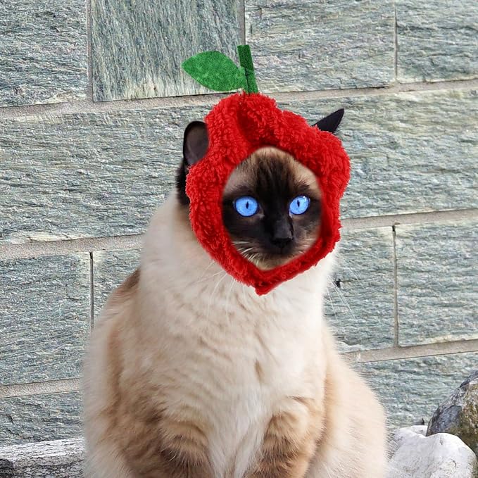 HEMOTON 4pcs Funny Pet Hat for Dogs and Cats, Lovely Fruit-Shaped Cloth Costume with Fine Workmanship, Reducing for Comfortable Wear, for Pet Parties and Dress