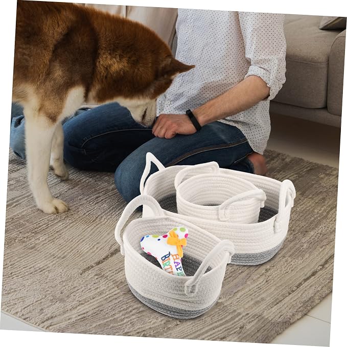 Healifty 3pcs Woven Dog Toy Storage Basket Compact Practical Pet Organizer for Toys Easy to Move Safe Material for Neat Home Organization