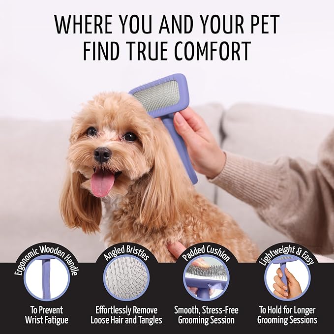 Tauro Pro Line Slicker Brush for Dogs & Cats, Deshedding, Dematting & Detangling Grooming Tool for Medium to Long Coats, Ideal for Doodles & Poodles, Flexible Cushion, Purple, Medium Size (M)