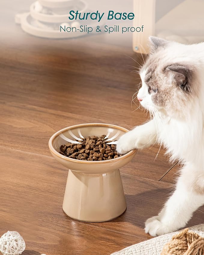 vancasso Elevated Cat Food Bowls 2-Pack, 6.2" Wide Shallow Cat Feeding Bowl for Whisker Fatigue, 5.1" Height Ceramic Raised Food Bowls for Senior Cats, Anti Vomit, Brown