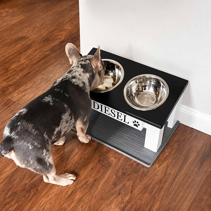 Tilted Dog Bowl - Personalized Custom Elevated Feeder for Short-Nose Dogs | Farmhouse Style, Stainless Steel Dishwasher Safe Bowls, Anti-Slip, Raised Angled, Flat-Face Dogs, Made in USA