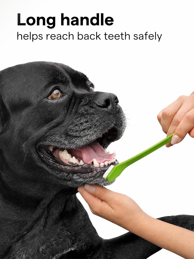 Pet Toothbrush Set of 6 for Dogs & Cats - Dual-Head Dog Toothbrush with Soft Nylon Bristles - Long Handle for Daily Dental Care - Home Use Toothbrush Pack for Small to Large Breed Pets - eBook + App