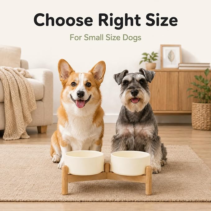 Havniva Ceramic Dog Bowls Elevated, Raised Dog Food Bowl for Small Dogs | 6.1” Elevated Dog Bowls, Non-Slip Wood Stand, Dog Food and Water Bowl Set, Dog Feeding Dish, Large Capacity Pet Water Bowl