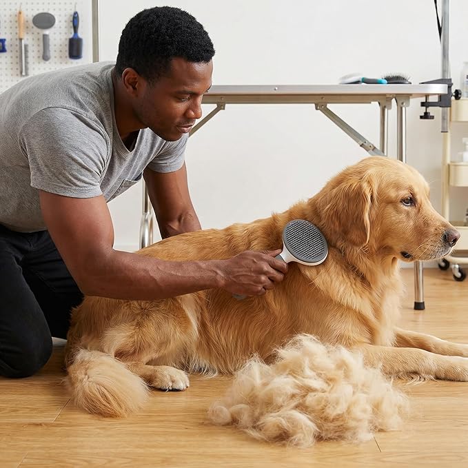 Cat Brush for Shedding for Indoor Cats & Dog Brush for Shedding - Perfect for Long & Short Haired Pets,Pet Brush for Dogs and Cats - Deshedding & Grooming Tool (Gray)