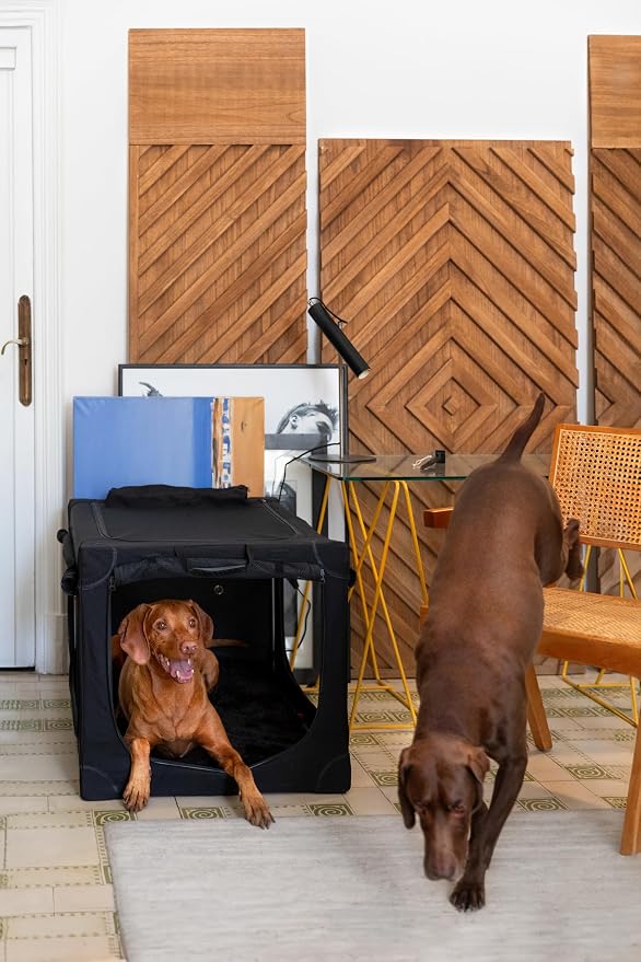 Noah & Paw Collapsible Dog Crate 36 Inches, XL Dog Crate for XL, Large Medium Breed, Travel Kennel for Car, Includes Pet Mat for Pet Cage, 2 Storage Pockets, Handbag, 10mm Locking Zippers 36*25*23