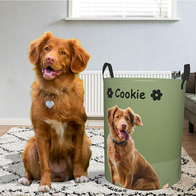 Personalized Large Dog Toy Storage Basket Bin Collapsible Custom Pet Stuff Box Chest Container for Living Room Organizer for Dog Toys,Dog Food,Blankets,Clothing (Olive Green)